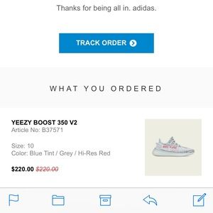 Yeezy blue tint